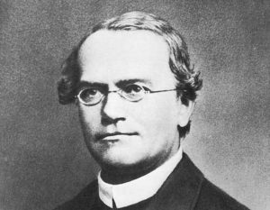 Gregor-Mendel